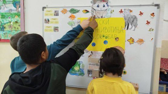 svsetski-dan-zivotinja-11