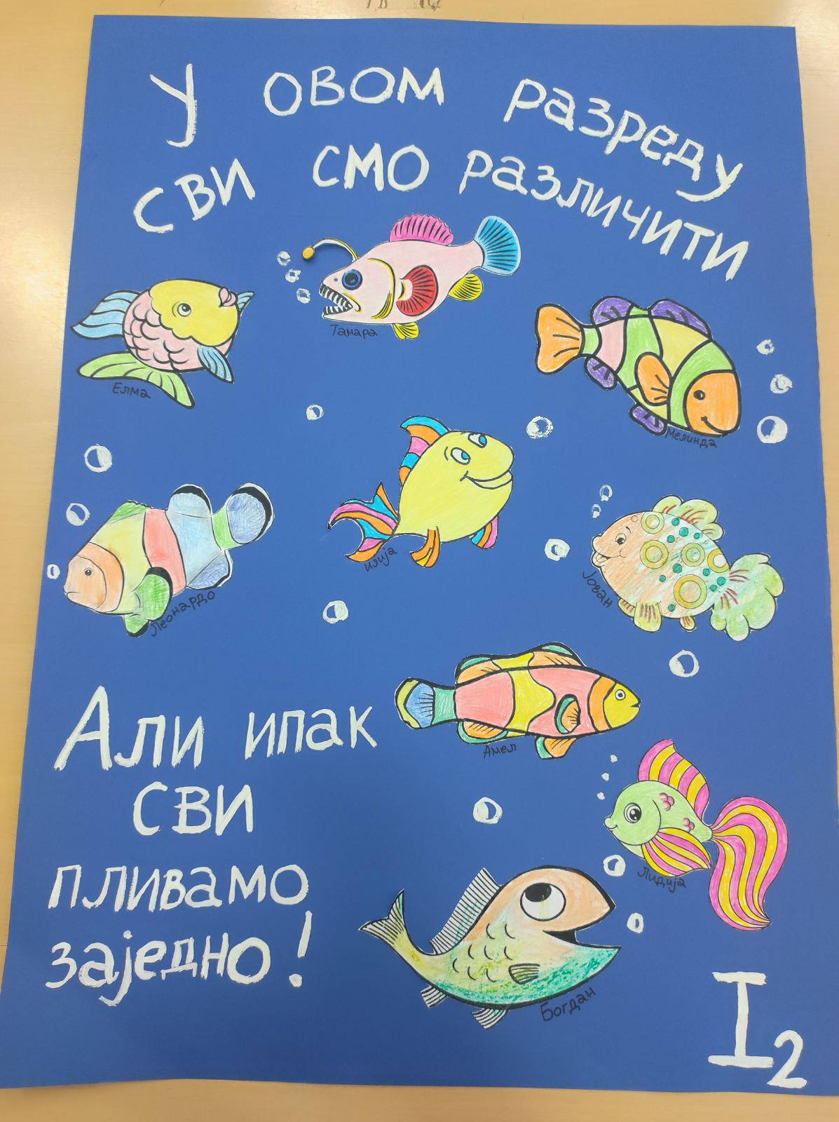 Праваци_разлике-нас-чине-једиственим_4